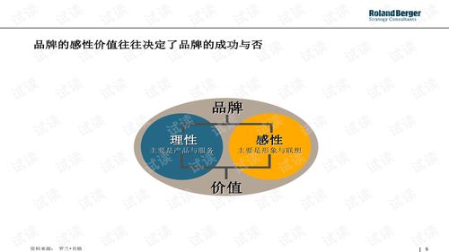罗兰贝格战略性品牌管理工具Profiler 构建品牌竞争优势的系统化指南