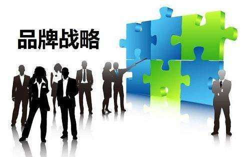 品牌战略管理 构建、维护与升级品牌的系统性工程